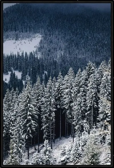 Картина Зимний лес на склоне