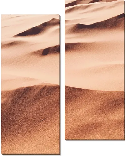 Модульная картина Бархатные дюны