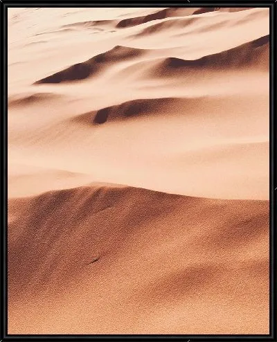 Картина Бархатные дюны