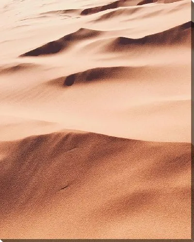 Постер Бархатные дюны