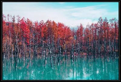 Картина Деревья с красными листьями в озере