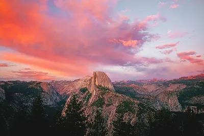 шаблон id 38
