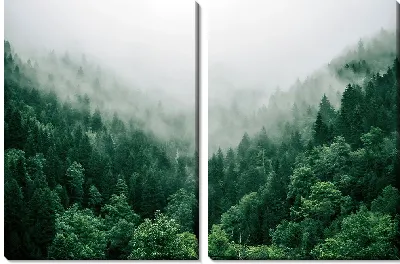 Модульная картина Туманное ущелье