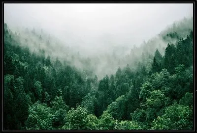 Картина Туманное ущелье