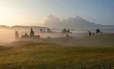 Плакат Утренний туман №41