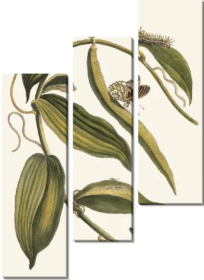 Картина Баниль (1705)