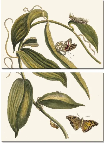 Картина Баниль (1705)