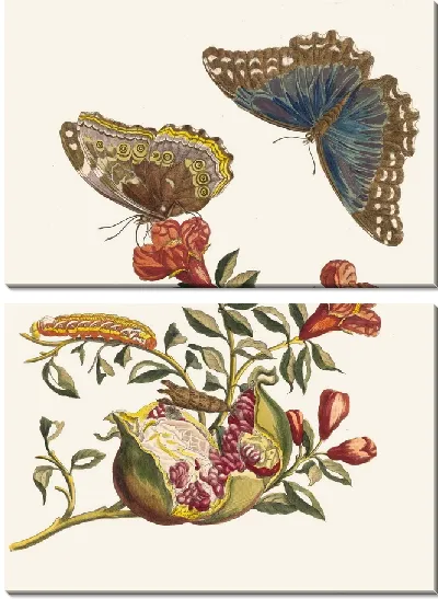 Картина Гренадер (1705)