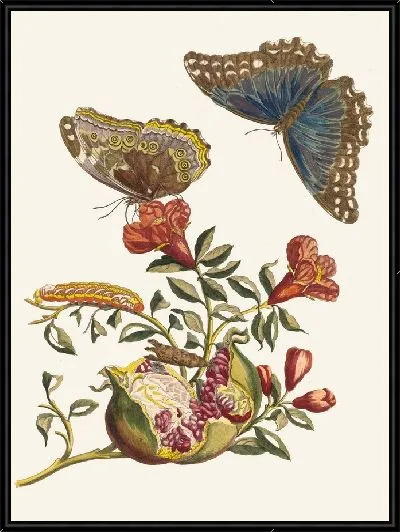 Картина Гренадер (1705)