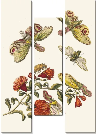 Картина Гренадер. (1705)