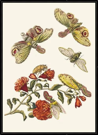 Картина Гренадер. (1705)