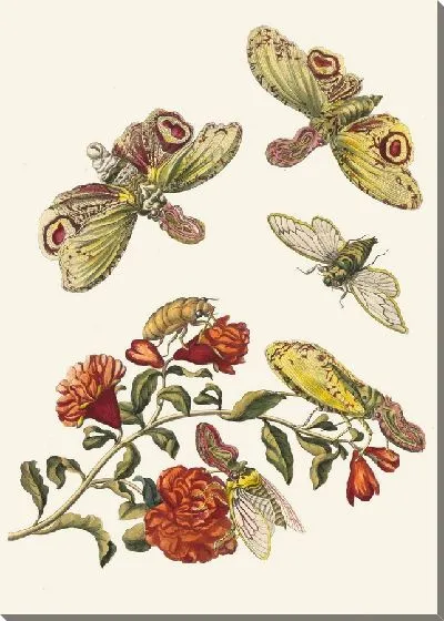 Картина Гренадер. (1705)