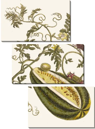 Картина Дыня д'О (1705)