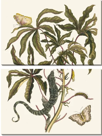 Картина Кассаве (1706)