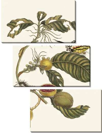 Картина Коробка Дерево (1705)