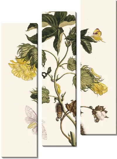 Картина Котонье (1705)