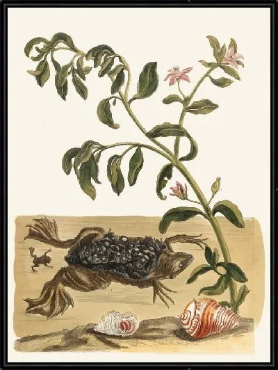 Картина Крессон (1705)