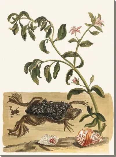 Картина Крессон (1705)