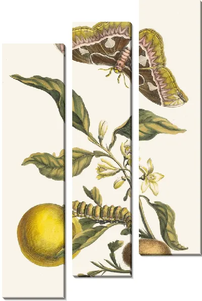 Картина Оранжер (1705)