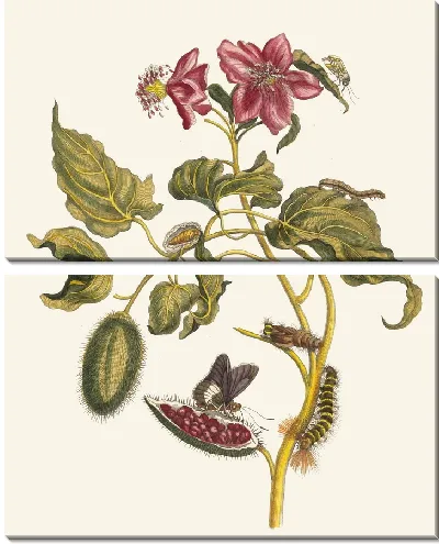 Картина Року (1705)