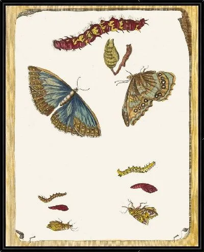 Картина Синие бабочки (1705)