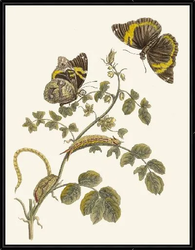 Картина Слаперлес (1705)