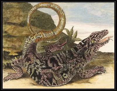 Совегард (1705)