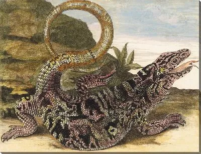 Совегард (1705)