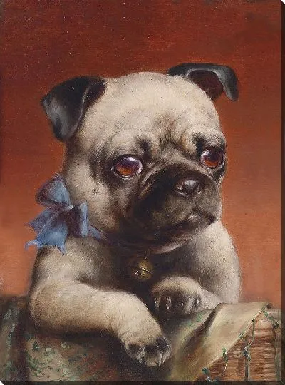 Картина Молодой мопс