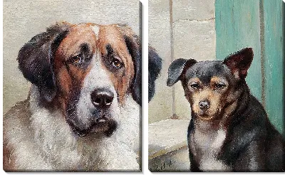 Меланхолик, Флегматик