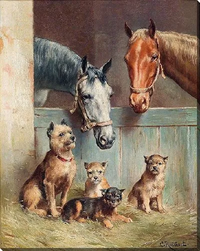 Картина Дружба с животными