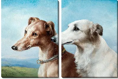 Картина Две борзые