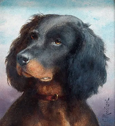шаблон id 34