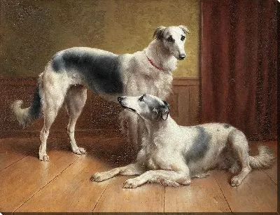 Картина Пара борзых в интерьере