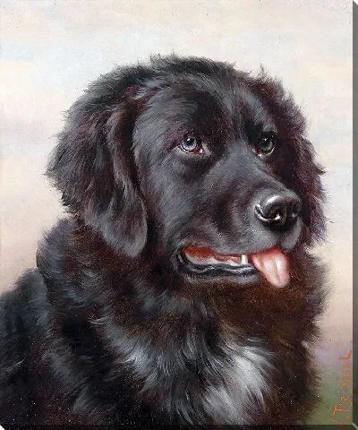 Картина Новые земли