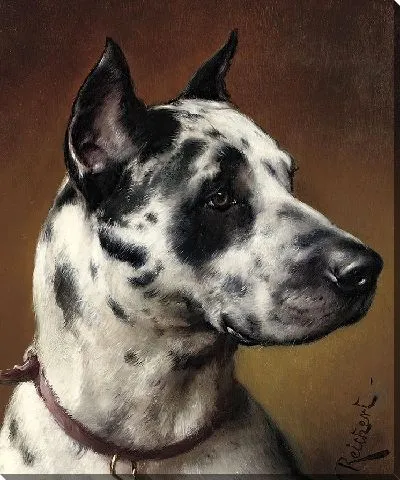 Картина Немецкая собака