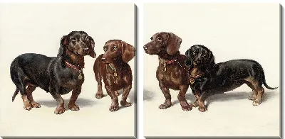 Картина Четыре таксы (1900)