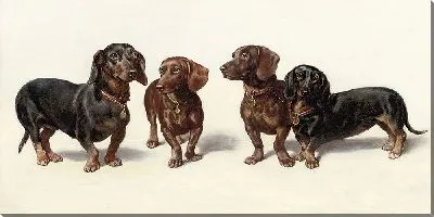 Картина Четыре таксы (1900)