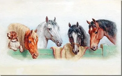 Картина Собака и четыре лошади