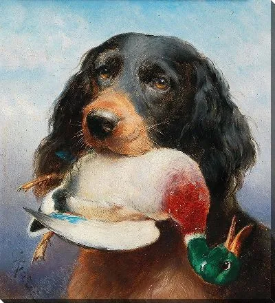 Сеттер-Гордон с уткой-кряквами