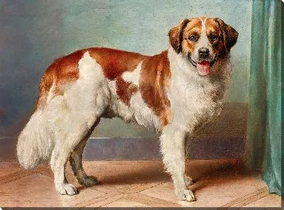 Картина Сенбернар