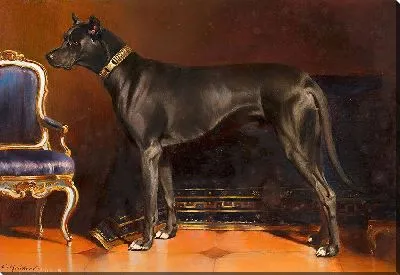 Картина Рюде Шэдоу, Хунд фон Кайзерин Элизабет (1873)