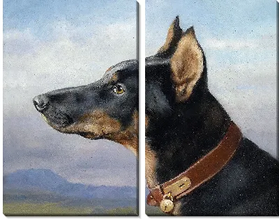 картина