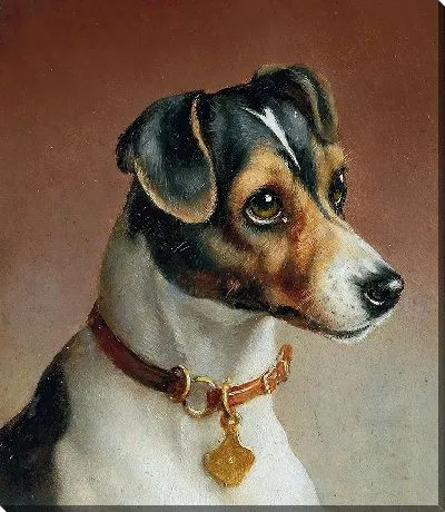 Картина Портрет джек-рассел-терьера