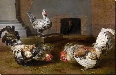 Картина Бойцовские курицы