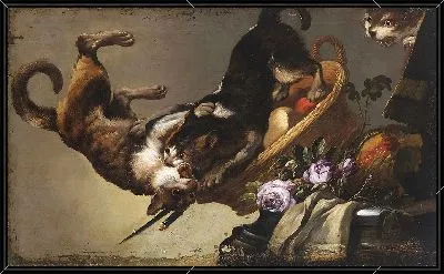 Боевые кошки