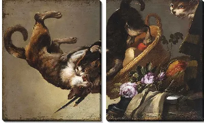 Боевые кошки