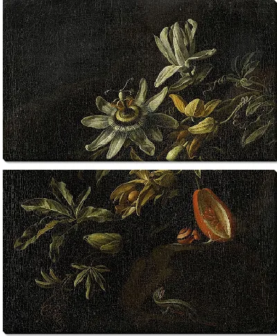 Картина Натюрморт с пассифлорами (1670 – 1708)