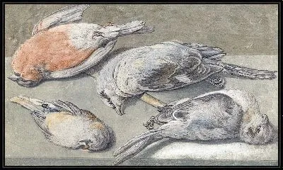 Натюрморт собственные мертвыми птицами (ок. 1640 - ок. 1652)