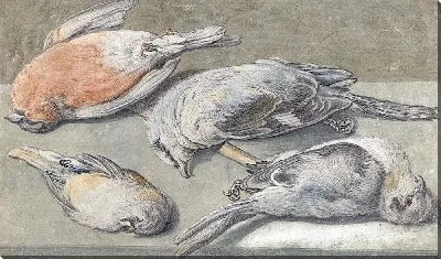 Картина Натюрморт собственные мертвыми птицами (ок. 1640 - ок. 1652)